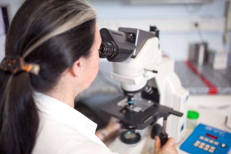 Spermiogramm Labor Dr. Dorfinger - Mikroskopie